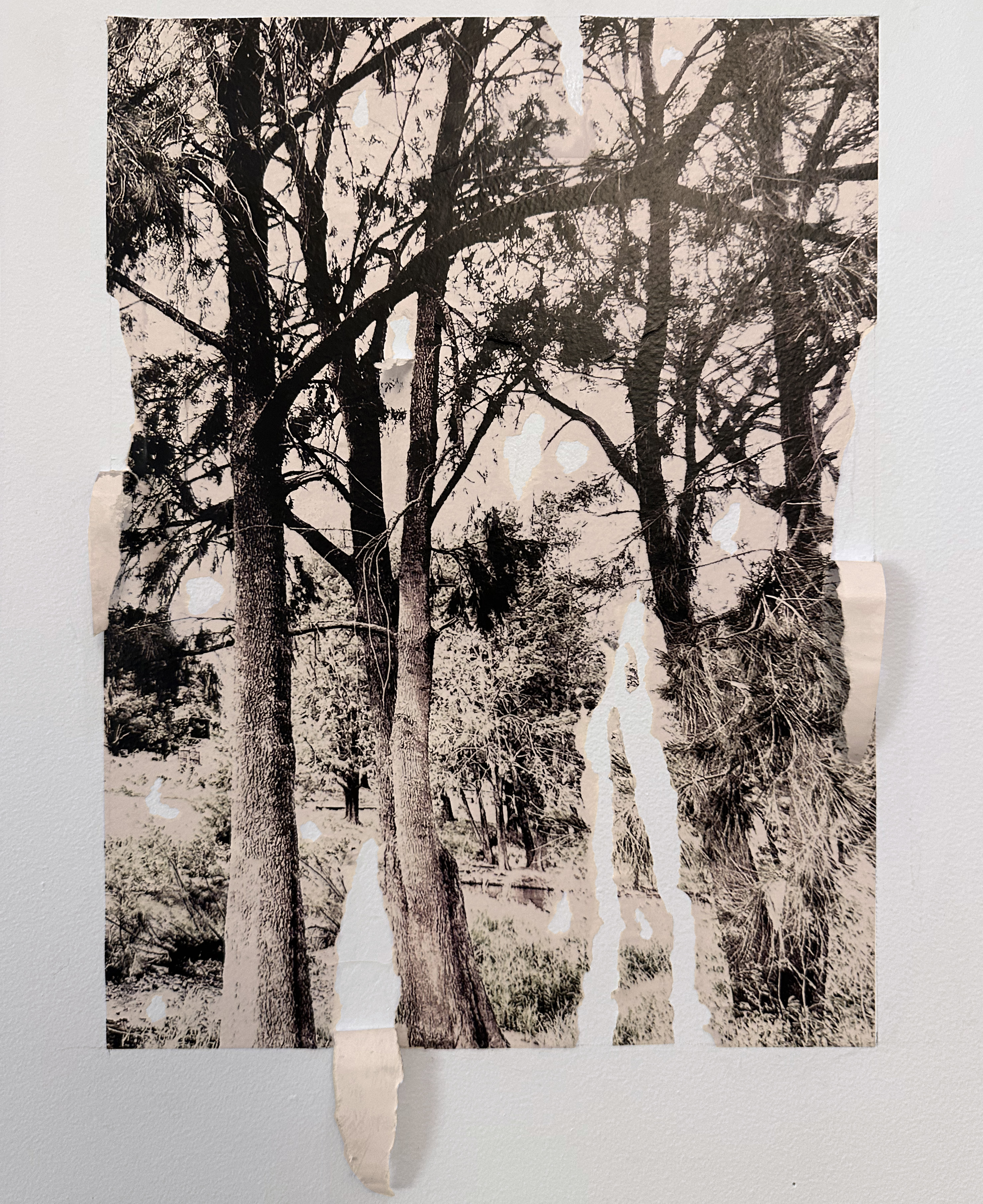 The ArtHitects, Wambuul