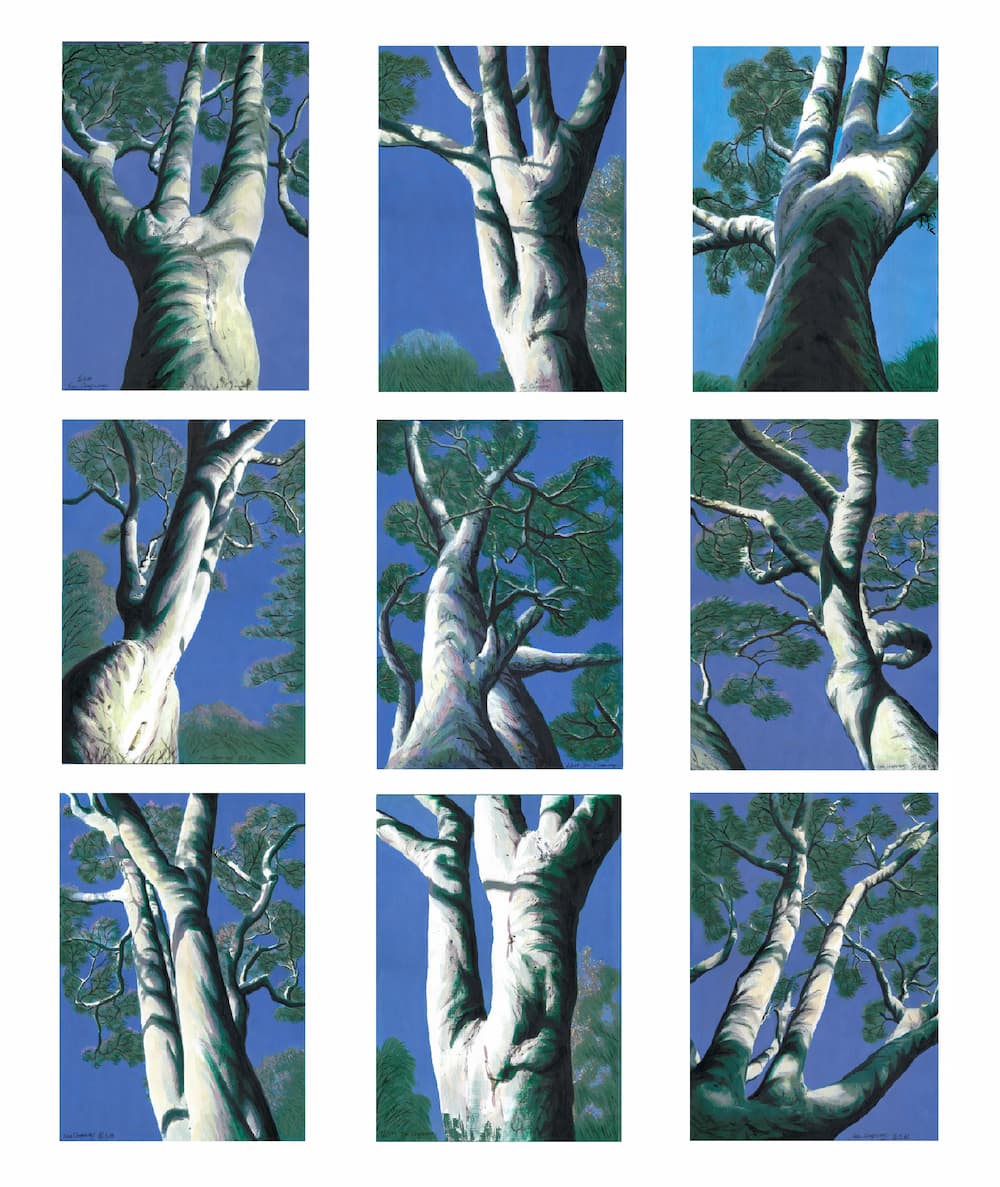 Dongwang Fan, Nine Gum Trees