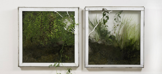 Welcome to wherever you are artwork