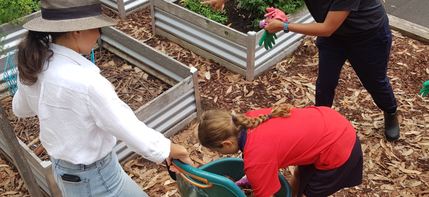 Dee Why public school gardening club