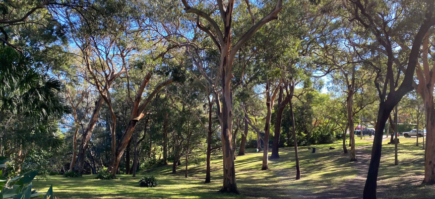 Dearin Reserve Newport