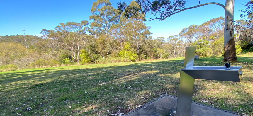 Dog park with grass and bubbler