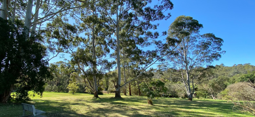 Park with trees and shade and seat