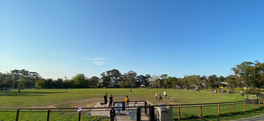 view across fenced dog park