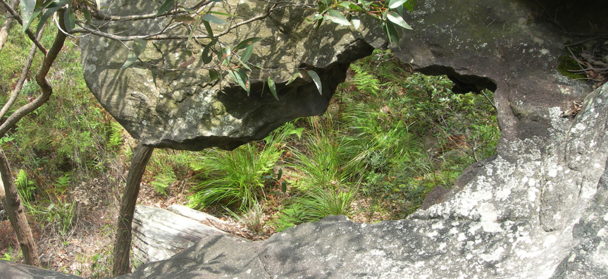 manly-dam-webtile-rockshelf.jpg