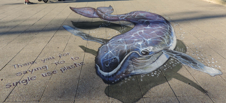 single use plastics, litter