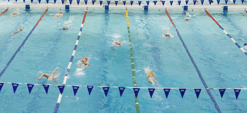 Swimmers training in pool