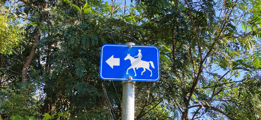 Horse sign against trees