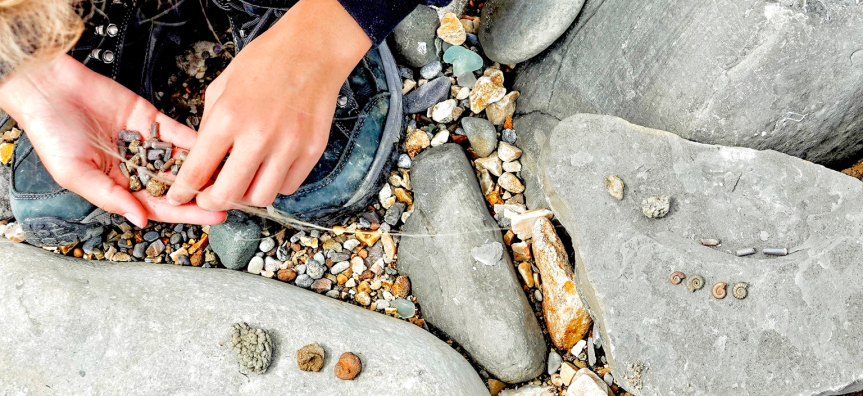 Childs hand looking at shells and fossils