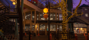 Manly Library at night