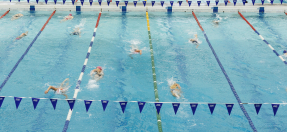 Swimmers training in pool