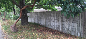 144 Upper Clontarf Street photo