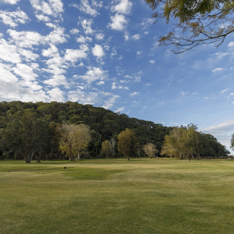 outlook over the grounds